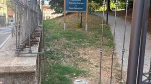 Caos al parco Argenti: «Terra di nessuno nel cuore della notte»