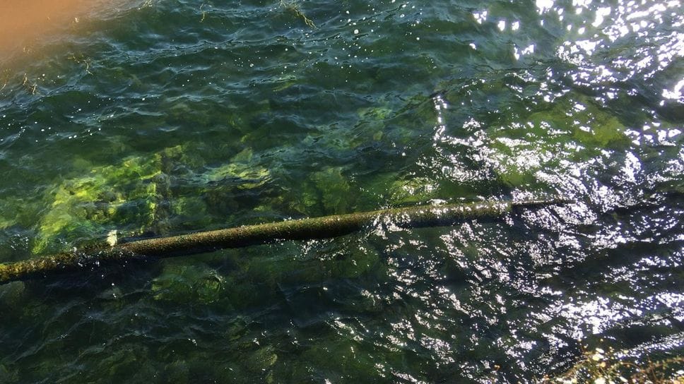 Lago a secco, i bacini alpini non bastano