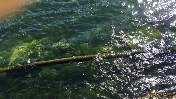 Lago a secco, i bacini alpini non bastano