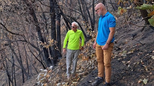Incendio sul monte Goj, «in fumo 23 ettari di verde: al lavoro al più presto»
