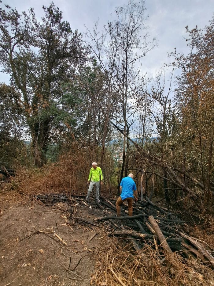 Incendio sul monte Goj, «in fumo 23 ettari di verde: al lavoro al più presto»
