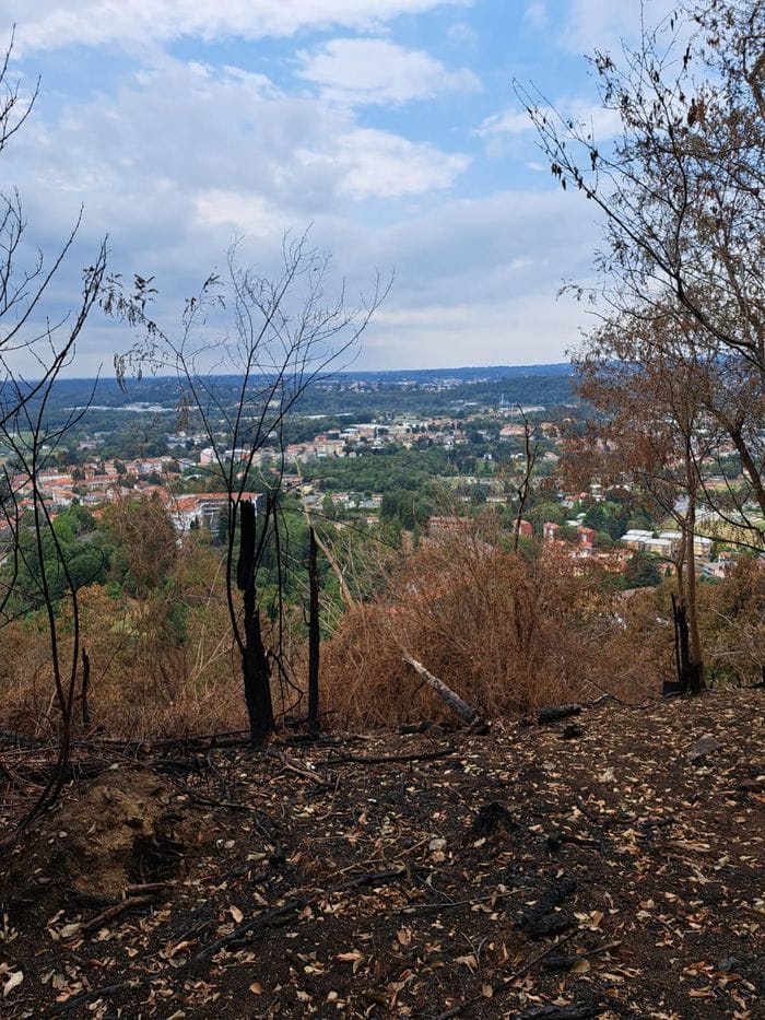 Incendio sul monte Goj, «in fumo 23 ettari di verde: al lavoro al più presto»