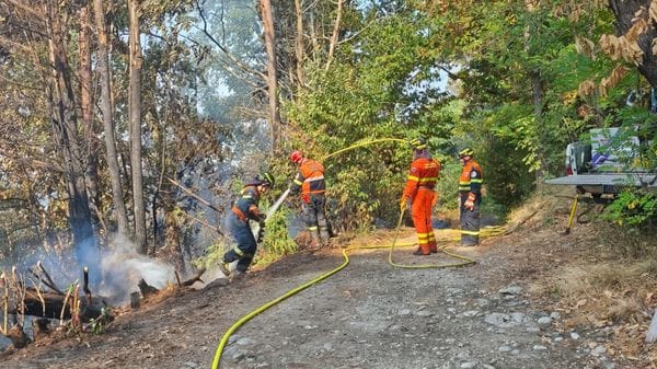 Monte Goj, i numeri legati al maxi intervento 
