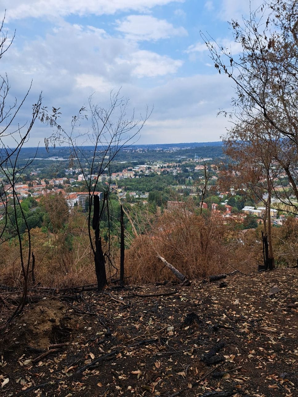 Monte Goj: l’incendio è ufficialmente finito