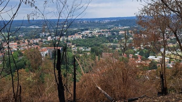 Monte Goj: l’incendio è ufficialmente finito