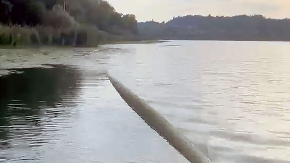 «Un “mostro” nel lago»: ma è un tubo che affiora
