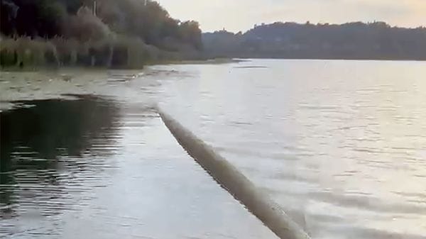 «Un “mostro” nel lago»: ma è un tubo che affiora