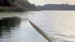 «Un “mostro” nel lago»: ma è un tubo che affiora