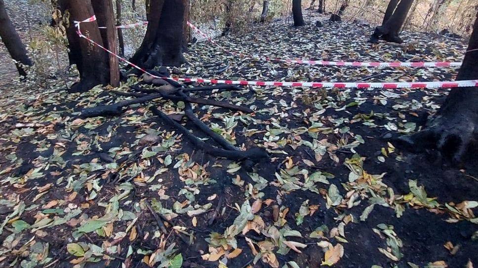 Monte Goj, ecco il punto di partenza dell’incendio