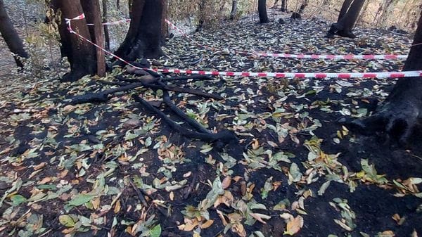 Monte Goj, ecco il punto di partenza dell’incendio