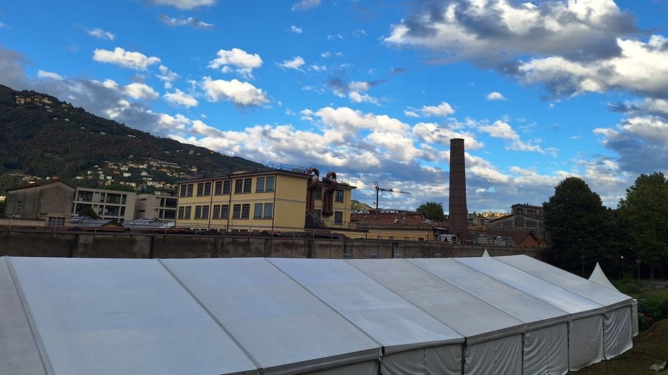 Festa del patrono: cucina, animali, musei aperti e giochi