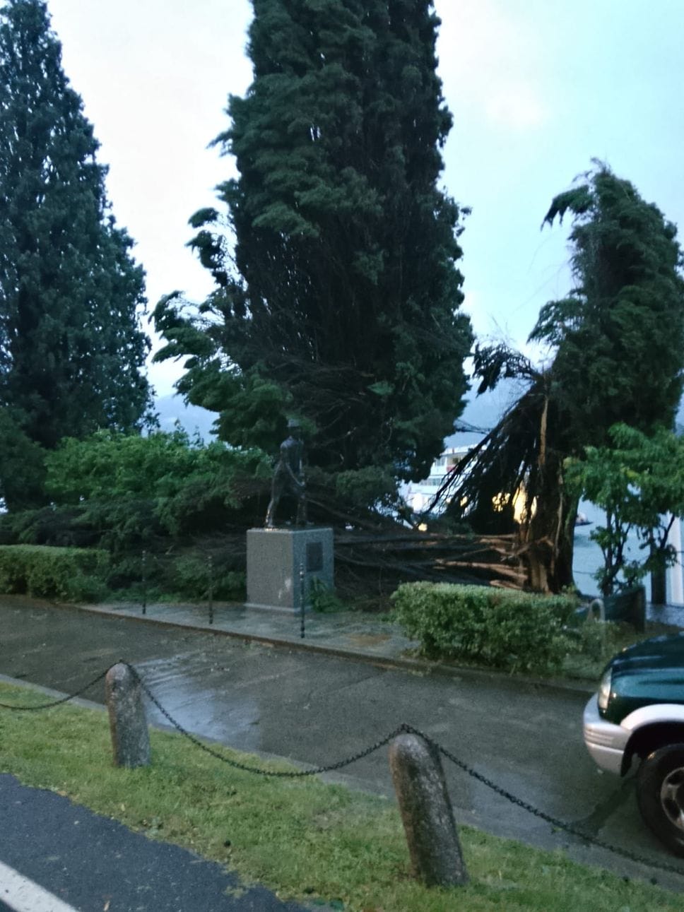 Maltempo, alberi caduti, blackout e danni. Regina a senso unico alternato
