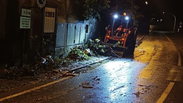 Maltempo, alberi caduti, blackout e danni. Regina a senso unico alternato