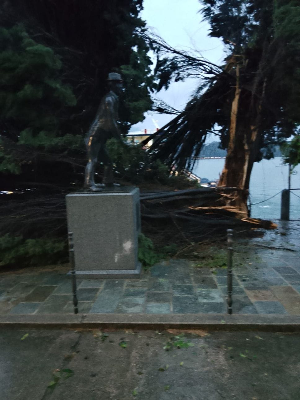 Maltempo, alberi caduti, blackout e danni. Regina a senso unico alternato