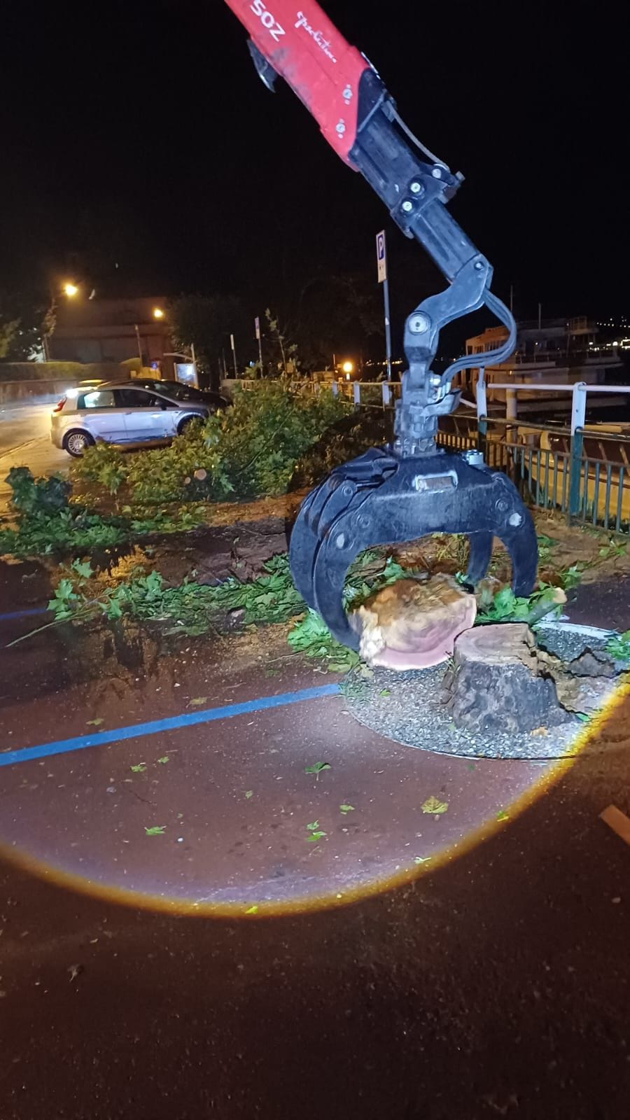 Maltempo, alberi caduti, blackout e danni. Regina a senso unico alternato