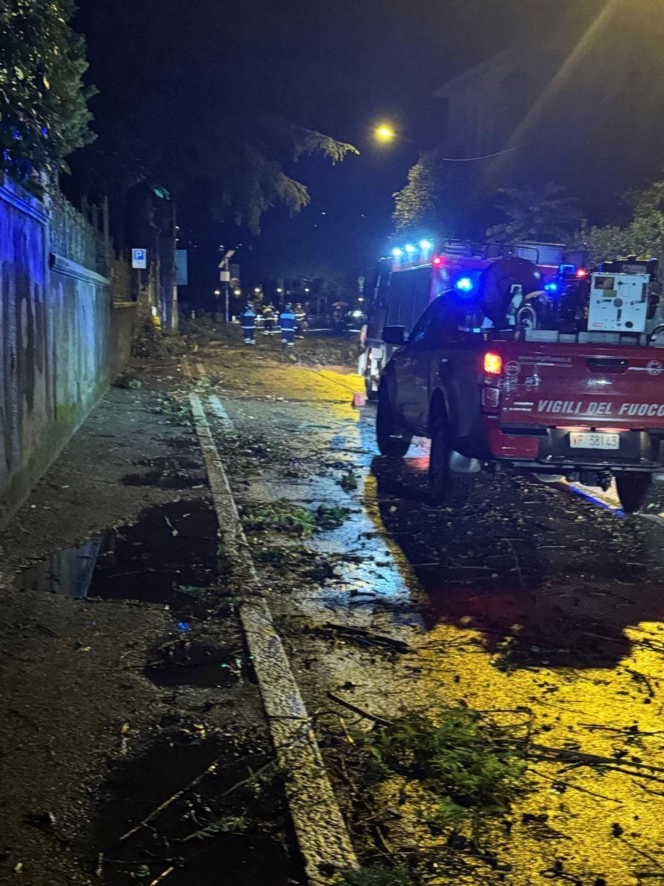Maltempo, alberi caduti, blackout e danni. Regina a senso unico alternato