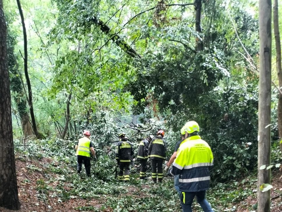 Maltempo, alberi caduti, blackout e danni. Voragine sulla Dongo - Garzeno
