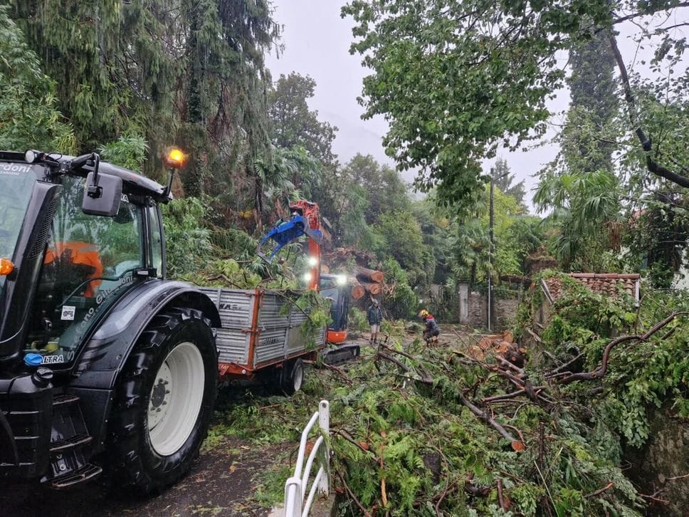 Maltempo, alberi caduti, blackout e danni. Voragine sulla Dongo - Garzeno