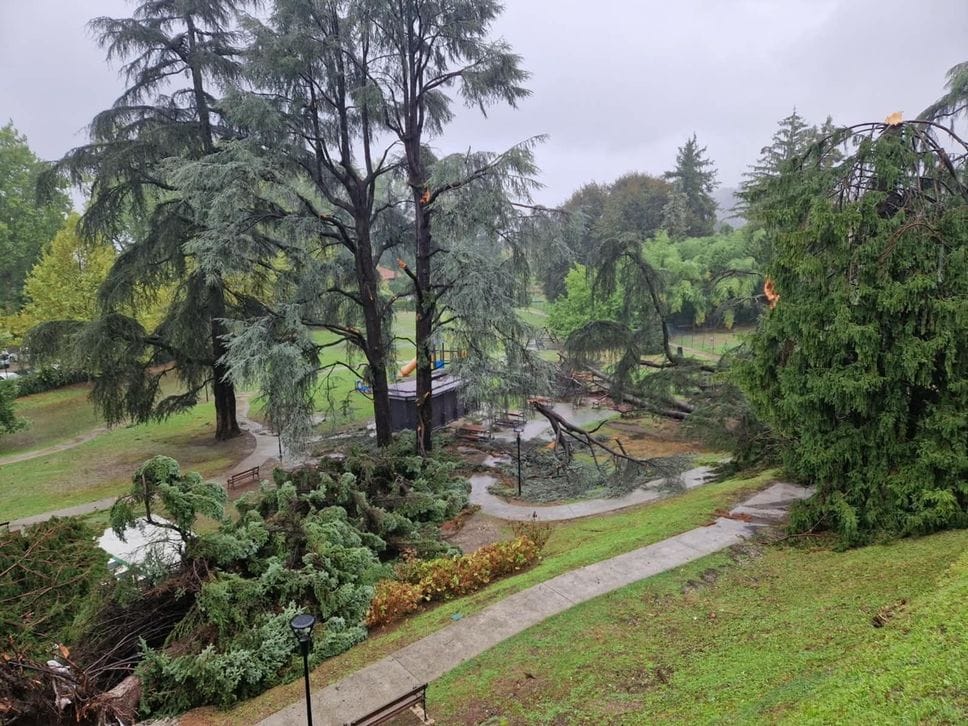 Maltempo, alberi caduti, blackout e danni. Voragine sulla Dongo - Garzeno
