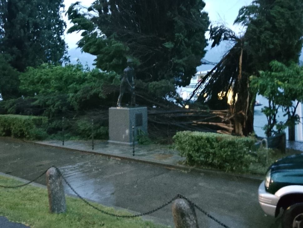 Maltempo, alberi caduti, blackout e danni. Voragine sulla Dongo - Garzeno