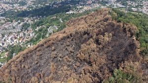 Il Monte Goj dopo il rogo. Subito le reti paramassi