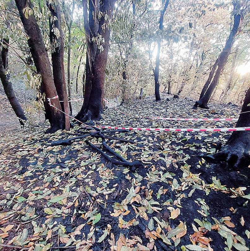 Incendio Monte Goj. Nessun incidente, caccia al piromane