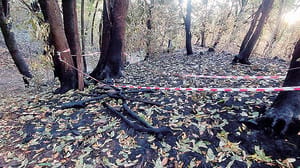 Incendio Monte Goj. Nessun incidente, caccia al piromane