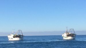 L’Islanda, l’Europa e l’effetto merluzzo