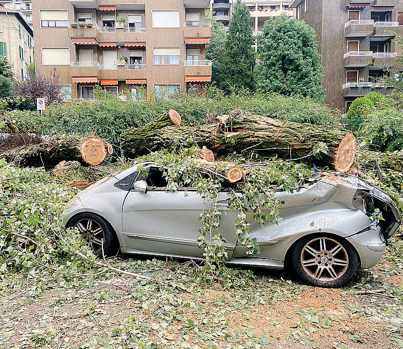 Che danni il temporale. Auto distrutte in via Zezio