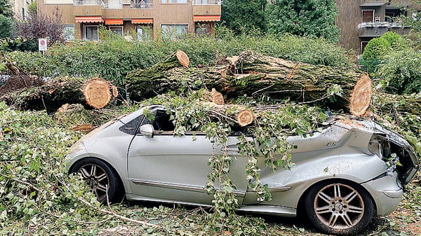 Che danni il temporale. Auto distrutte in via Zezio