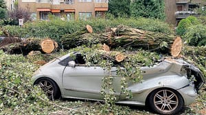 Che danni il temporale. Auto distrutte in via Zezio