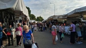 Il mercato più grande della provincia? È a Mariano. Tutti i martedì pieno, punta sulla qualità
