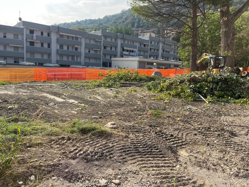Taglio degli alberi a Tavernola: si fa spazio per ampliare l’area camper
