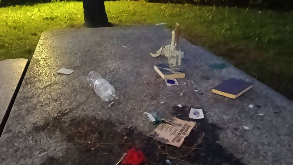 Bottiglie e rifiuti abbandonati al parco dopo la festa. Previste multe più gravi