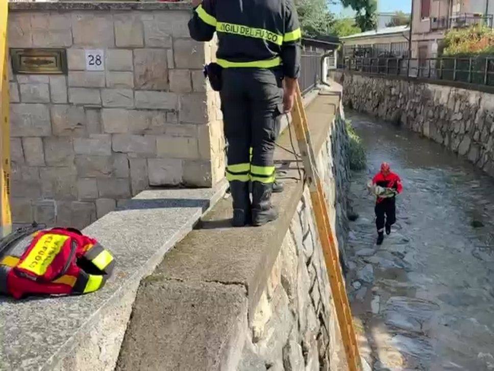 Cane scivola nel torrente a Mariano Comense: lo salvano i vigili del fuoco