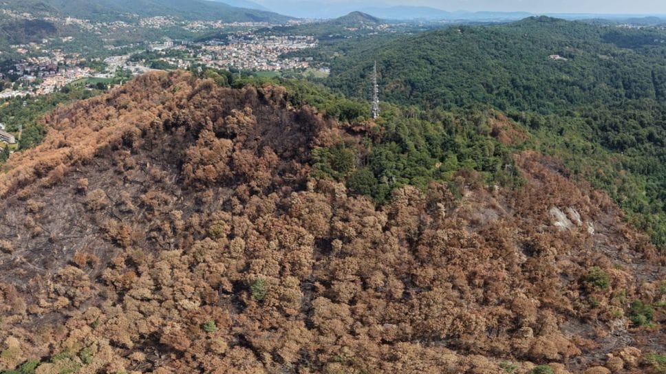 Summit in Regione per l’incendio sul Monte Goj: «Lavori in ritardo, colpa del Comune»