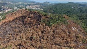 Summit in Regione per l’incendio sul Monte Goj: «Lavori in ritardo, colpa del Comune»