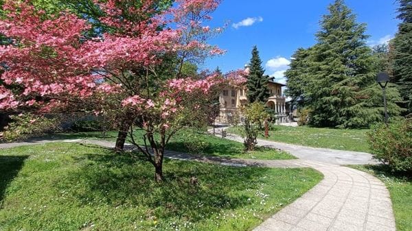 Siringhe al parco e alla stazione: «Il sottopasso rifugio dei tossici»