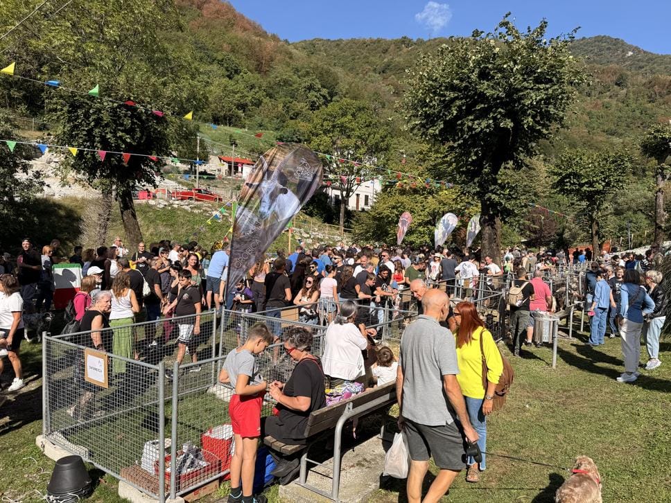 Tradizione ancora viva: migliaia di visitatori alla Fiera delle Capre