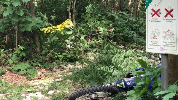 Urtato da un’auto finisce fuori strada: il corpo trovato dopo ore da alcuni ciclisti