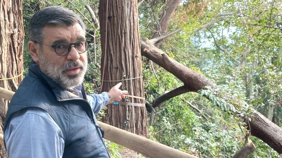 Villa Carlotta, oggi riapre  il parco. Ottanta alberi abbattuti dal vento