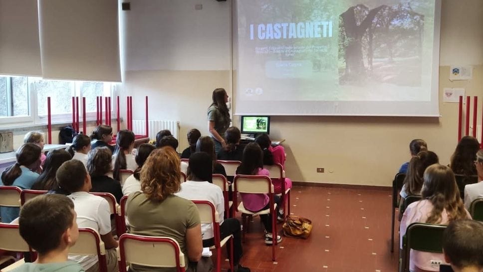 Gli studenti del Triangolo Lariano diventano “custodi del bosco”