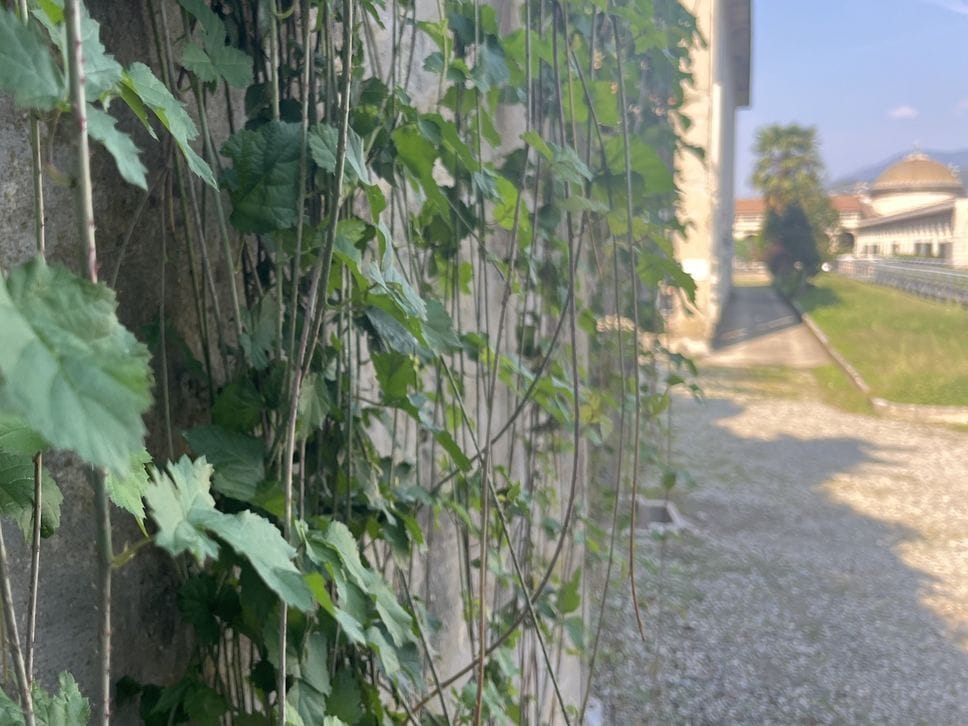 Tombe e transenne: viaggio dentro il Cimitero  Monumentale