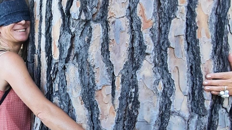 Il parco di Villa Erba visto con gli altri sensi: una passeggiata a occhi chiusi