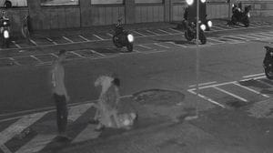 Coltellata in piazza Volta, la Procura: «A processo»