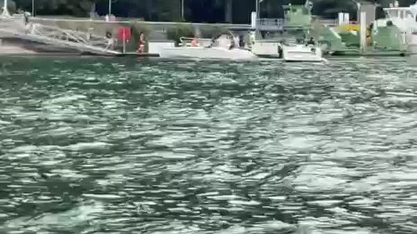 Tante barche in attesa davanti al pontile di Villa Geno: «Nessuna soluzione, così è pericoloso»