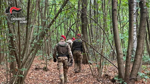 Lo spaccio nascosto nei boschi: due nuovi arresti