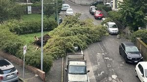 Forte temporale nella notte, alberi abbattuti. A Blevio suonano le sirene del sistema di allerta