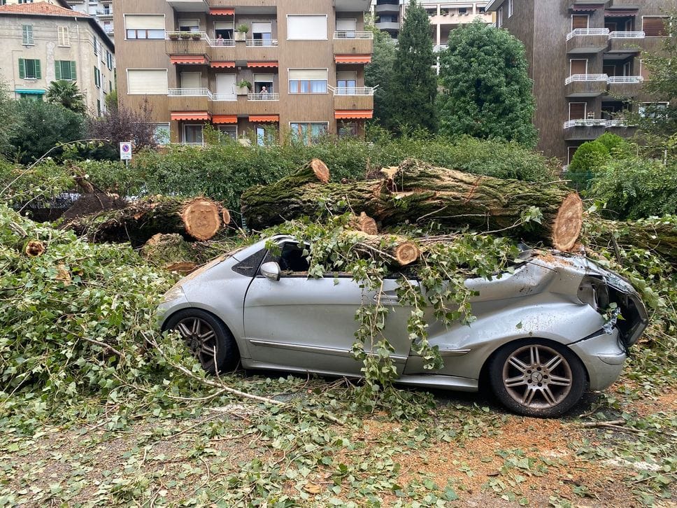 Forte temporale nella notte, alberi abbattuti e macchine distrutte. A Blevio suonano le sirene del sistema di allerta